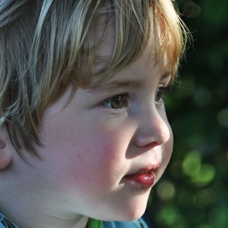 Mees1